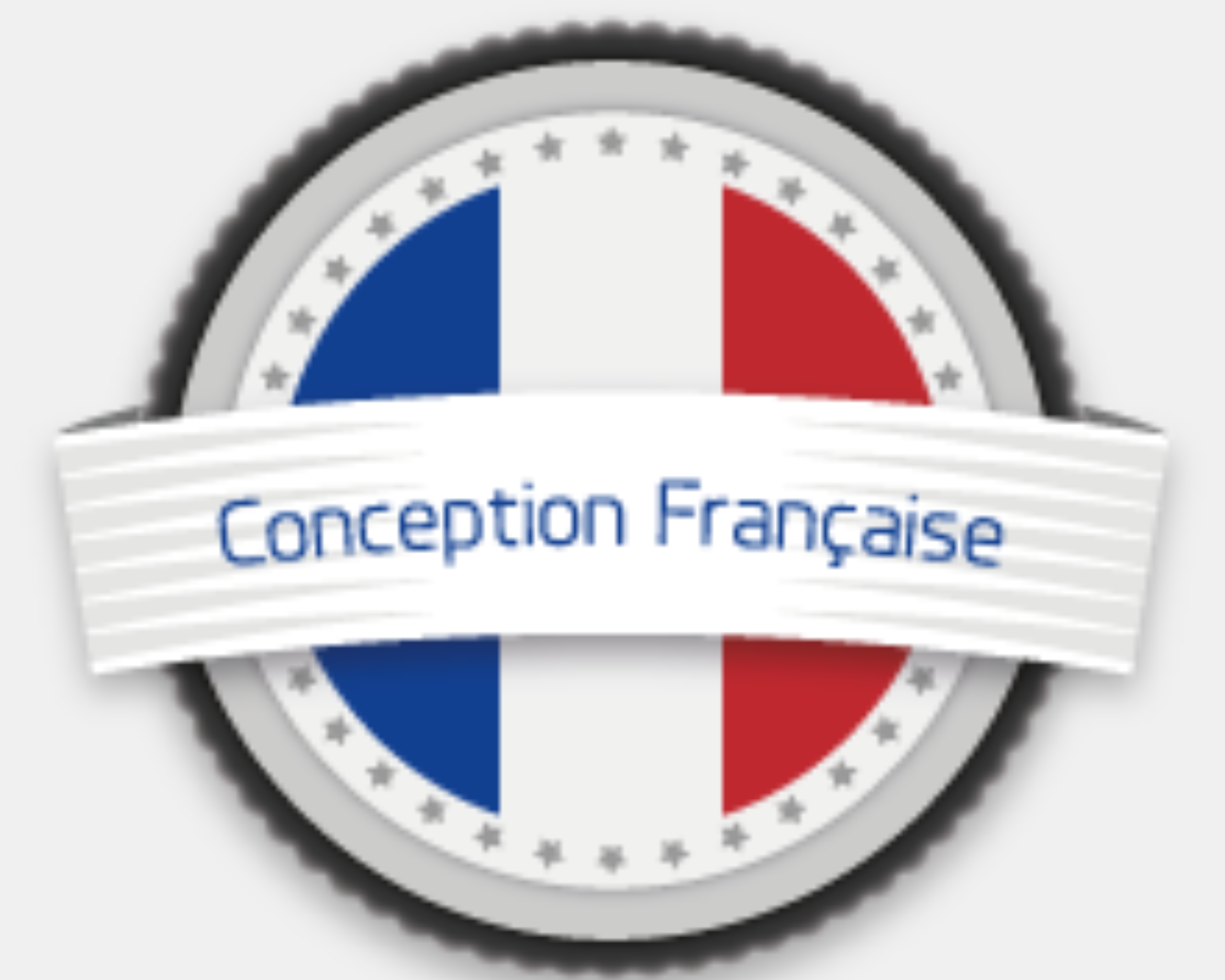 Grue SPEED CRANE conception francaise